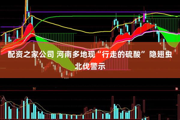 配资之家公司 河南多地现“行走的硫酸” 隐翅虫北伐警示