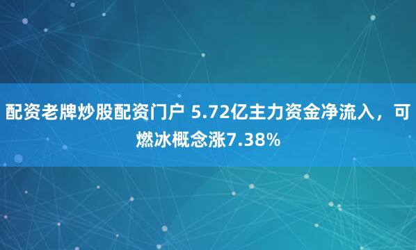 配资老牌炒股配资门户 5.72亿主力资金净流入，可燃冰概念涨7.38%
